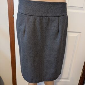 Architect Women's Charcoal Pencil Skirt